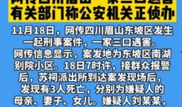 外网凶杀案爆料大全新闻,惊悚事件背后的真相与反思