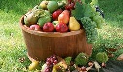 娱乐吃瓜场地图片高清大图,高清大图揭秘网红吃瓜场地