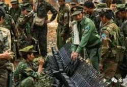 果敢在线观看,揭秘神秘果敢世界的精彩瞬间