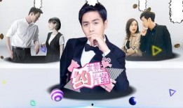 在线观看情宿,网剧中的虚拟与现实交织的浪漫之旅