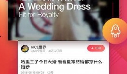 老挝录音爆料视频大全下载,视频大全下载背后的真相