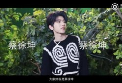 爆料视频蔡徐坤,揭秘背后真相与争议