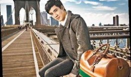 凤凰娱乐爆料王力宏是谁,凤凰娱乐独家爆料背后的真相