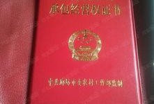 各大新闻媒体爆料电话,各大媒体爆料电话背后的新闻风云