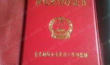 各大新闻媒体爆料电话,各大媒体爆料电话背后的新闻风云