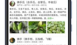 最新 植物爆料软件,揭秘植物爆料软件带来的颠覆性变革