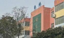 南阳新野最新爆料,揭秘古城新颜背后的故事