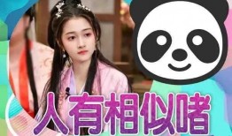 大瓜都是谁爆料的呢视频,揭秘娱乐圈幕后真相