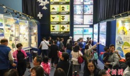 香港天文台爆料视频,最新爆料视频内容大揭秘