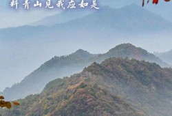 西安早安爆料最新消息,最新动态揭秘，聚焦城市热点事件