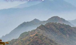 西安早安爆料最新消息,最新动态揭秘，聚焦城市热点事件