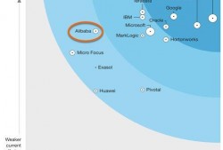 最新白术爆料新闻报道,揭秘娱乐圈惊人内幕