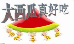 吃瓜ppt免费,PPT带你领略吃瓜文化魅力