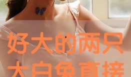 在线观看情宿,网剧中的虚拟与现实交织的浪漫之旅