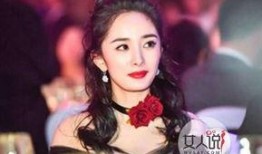 娱乐圈八卦爆料的女