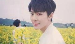 圈内爆料杨紫肖战录音笔,圈内爆料背后的真相揭秘