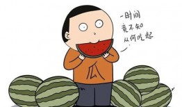 带着我的吃瓜免费阅读,带你领略“带着我的吃瓜”的独特魅力
