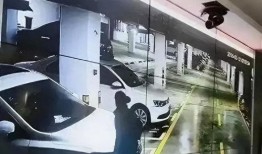 大学城轻轨爆料视频曝光,揭秘轻轨线路与未来交通蓝图