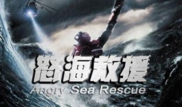 怒海救援在线观看,生死搏击，勇闯惊涛骇浪