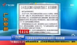 广东讨薪新闻爆料事件视频,视频揭露农民工维权困境