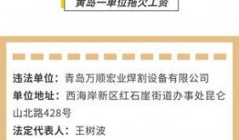 青岛企业爆料事件最新情况,揭露真相与应对措施揭晓