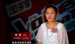 李玟事件最新爆料视频大全,真相与争议再掀波澜