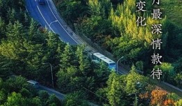 西安早安爆料最新消息,最新动态揭秘，聚焦城市热点事件