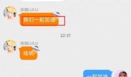 徐璐男友爆料视频,揭秘明星恋情背后的真相