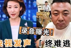 唐山打人录音爆料视频,现场惊心动魄，细节令人震惊