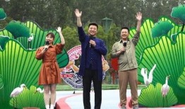 林培传媒最新爆料视频,最新爆料视频深度解析