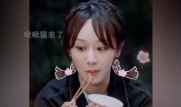 秦海璐爆料杨紫视频,揭秘娱乐圈幕后风波