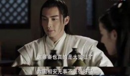 秦囧在线观看,穿越时空的奇幻之旅