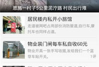 今日资讯爆料网,热点事件背后的真相与内幕