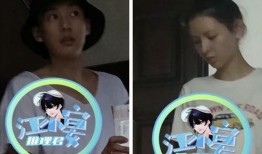 狗仔爆料刘学义视频全集,狗仔爆料背后的真相与争议