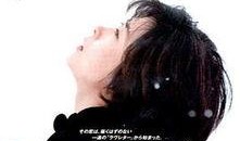 情书在线观看完整版,浪漫邂逅，爱意绵延