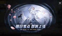 15号新皮肤爆料视频播放,视觉盛宴，神秘英雄即将亮相