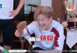 白鹿郑恺最新爆料,揭秘幕后故事与精彩瞬间