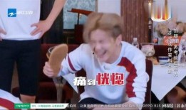 白鹿郑恺最新爆料,揭秘幕后故事与精彩瞬间