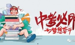 深圳小雅爆料事件最新消息,最新进展及影响揭秘