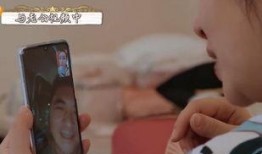 秦海璐爆料杨紫视频,揭秘娱乐圈幕后风波