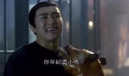 情怀大哥爆料视频大全,视频大全背后的故事与情感