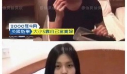 网友爆料保姆视频大全,揭秘家政服务行业真实一面