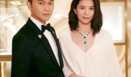 娱乐圈爆料群名,揭秘明星幕后故事