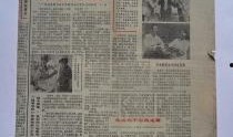 娱乐爆料报纸是什么东西,揭秘娱乐圈幕后真相