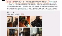 湛江出轨爆料案件最新情况,真相大白，当事人回应引关注